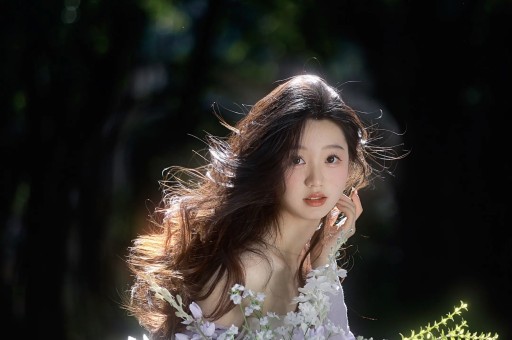 重磅爆料！美网红收10万美金私费背书斯泰尔藏匿款项遭严查打脸竞选黑幕